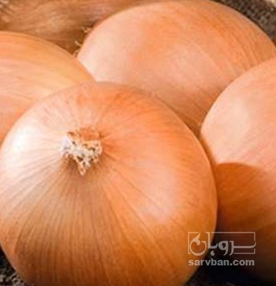 فروش پیاز زرد