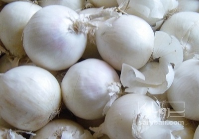 فروش پیاز سفید