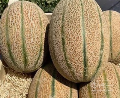 فروش طالبی جانا