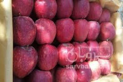 فروش سیب قرمز