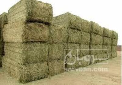 فروش یونجه