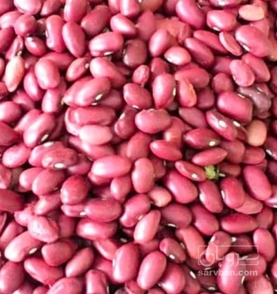 فروش لوبیا قرمز