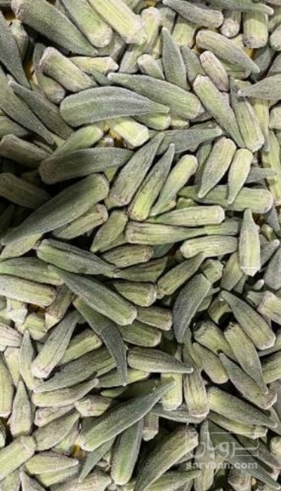 فروش بامیه منجمد