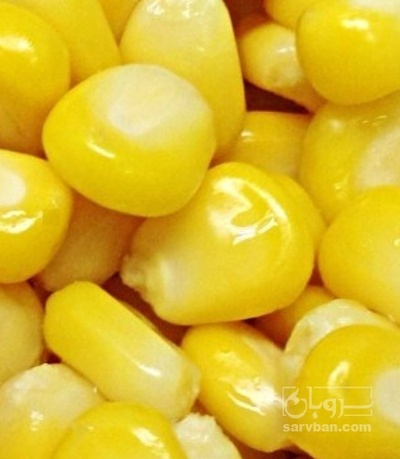 فروش ذرت  دانه  شده منجمد