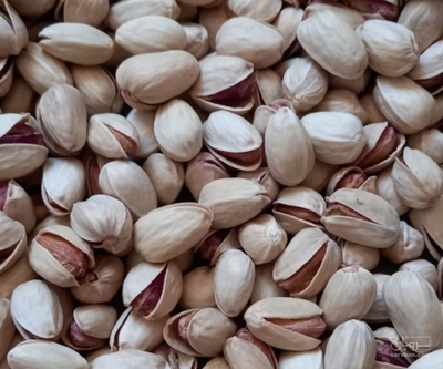 فروش پسته فندقی
