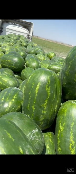 فروش هندوانه