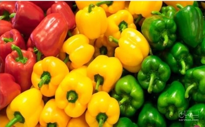 فروش فلفل دلمه ای