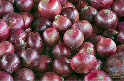 فروش پیازقرمز