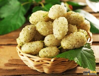 فروش توت درختی زرد