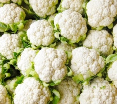 فروش گل کلم