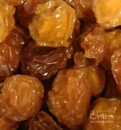 فروش  آلوچه زرد