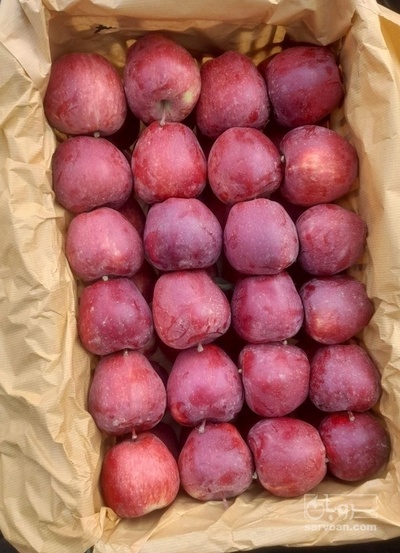 فروش سیب قرمز