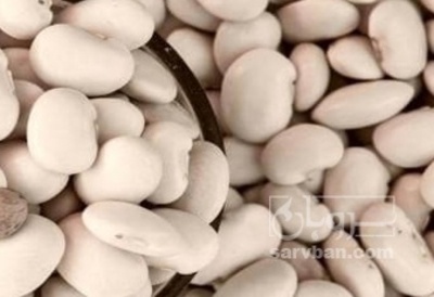 فروش لوبیا سفید