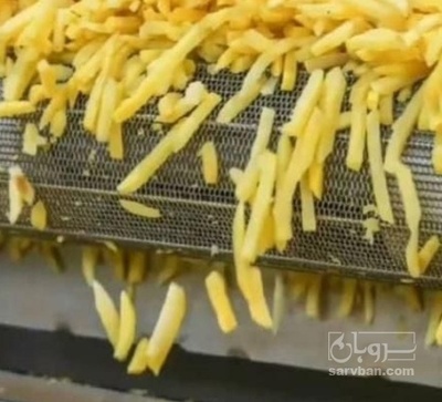 فروش سیب زمینی منجمد