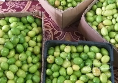 فروش کنار سیبی الویی گلابی