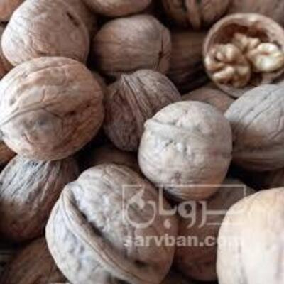فروش گردو