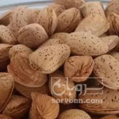 فروش بادام درختی