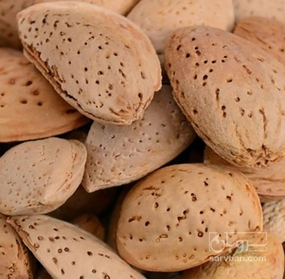 فروش بادام سنگی