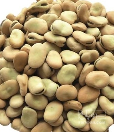 فروش باقلاخشک