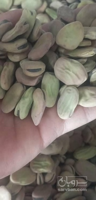 فروش باقلاخشک