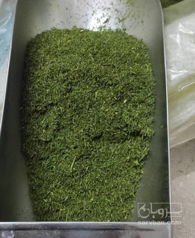 فروش شوید خشک پودری