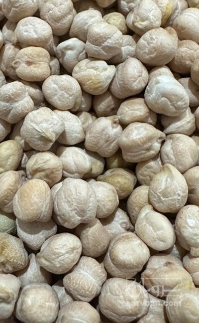 فروش نخود بذری