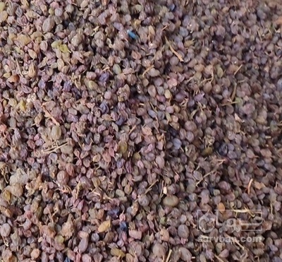 فروش کشمش ضایعاتی