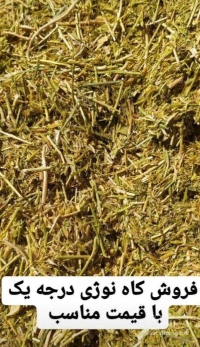 فروش کاه و کلش عدس