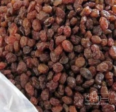 فروش کشمش قهوه ایی افتابی