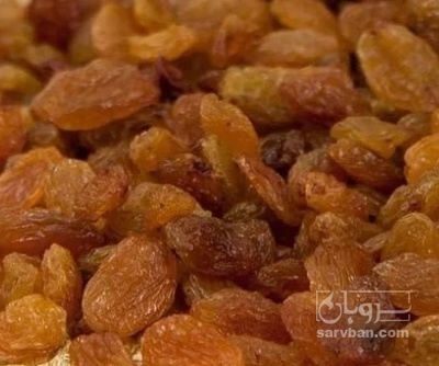 فروش کشمش زرد افتابی