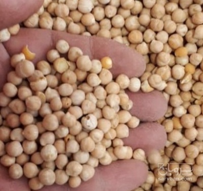 فروش نخود ریز