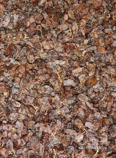 فروش کشمش فخری