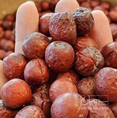 فروش عناب دارویی