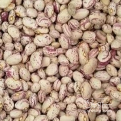 فروش لوبیا چیتی شکسته
