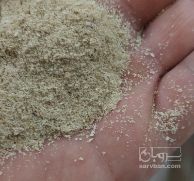 فروش سبوس گندم