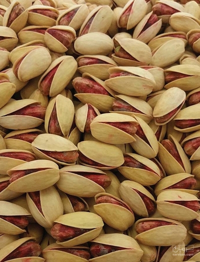 فروش پسته احمدآقایی