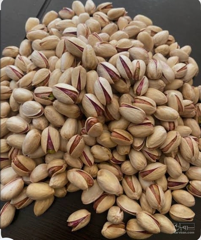 فروش پسته فندقی