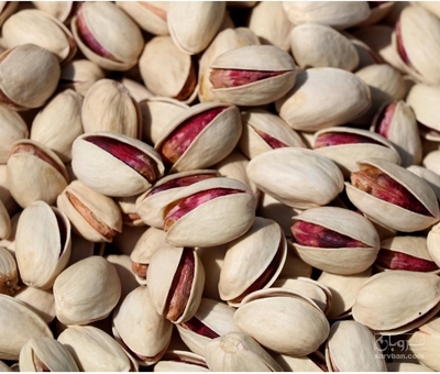 فروش پسته فندقی