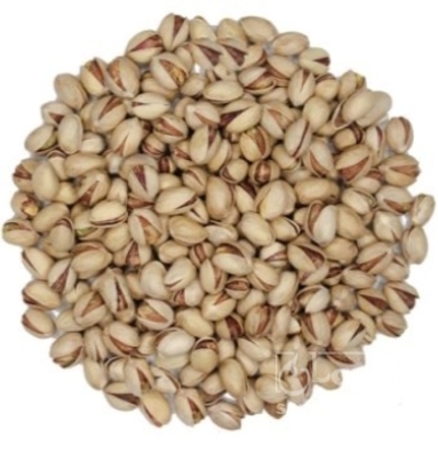 فروش پسته فندقی