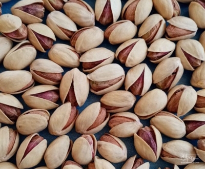 فروش پسته فندقی
