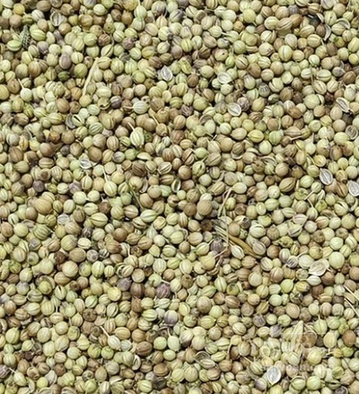 فروش تخم گشنیز (گیاه‌ دارویی)