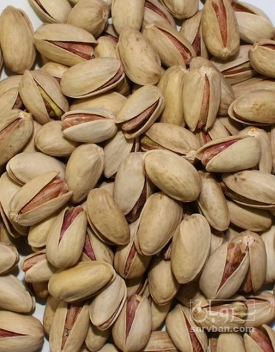 فروش پسته احمد اقایی