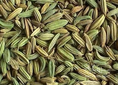 فروش زیره سبز