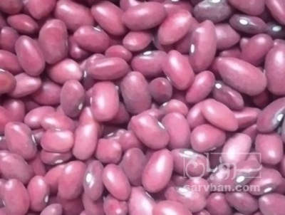 فروش لوبیا قرمز