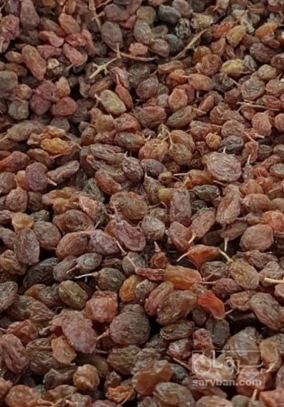 فروش کشمش ابگیری