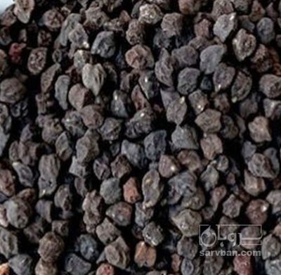 فروش گیلاس خشک