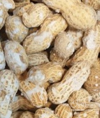 فروش بادام زمینی با قلاف