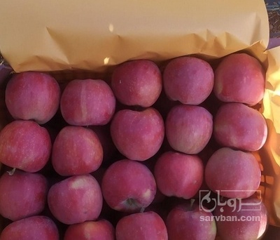 فروش سیب قرمز