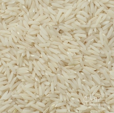 فروش برنج طارم