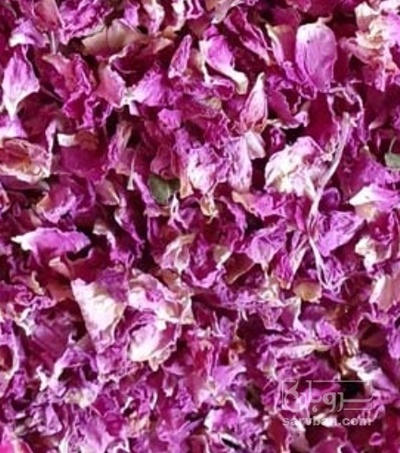 فروش گل محمدی (گیاه‌ دارویی)